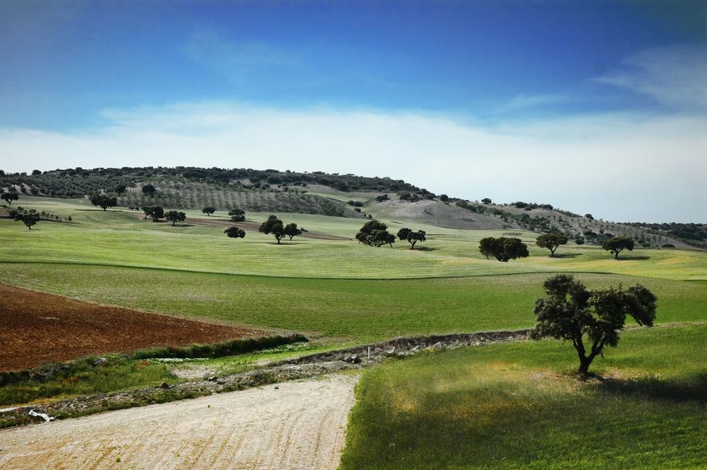 Turisticos Cortijo Garces * Alhama de Granada