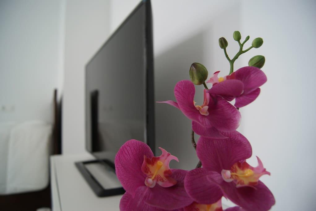 Catedral Suites Apartamento