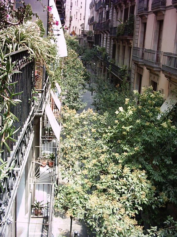 Guest house Alamar Barcelona