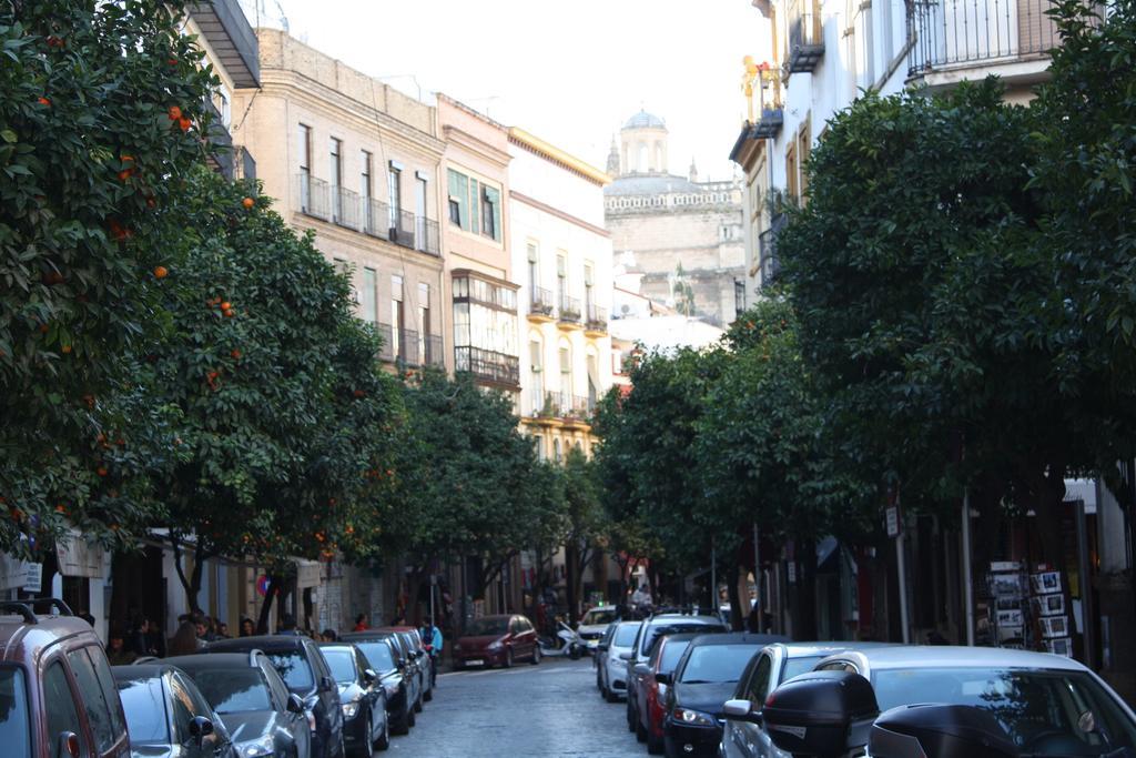 Casa Sandra * Arcos de la Frontera