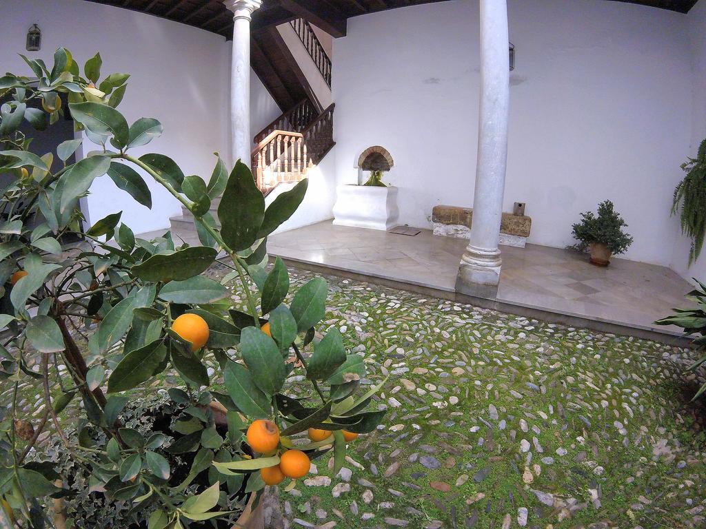 Horno De La Merced Pensión Granada