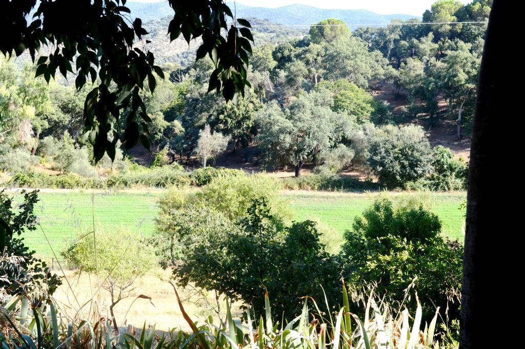 Casa rural La Cartuja De Cazalla *