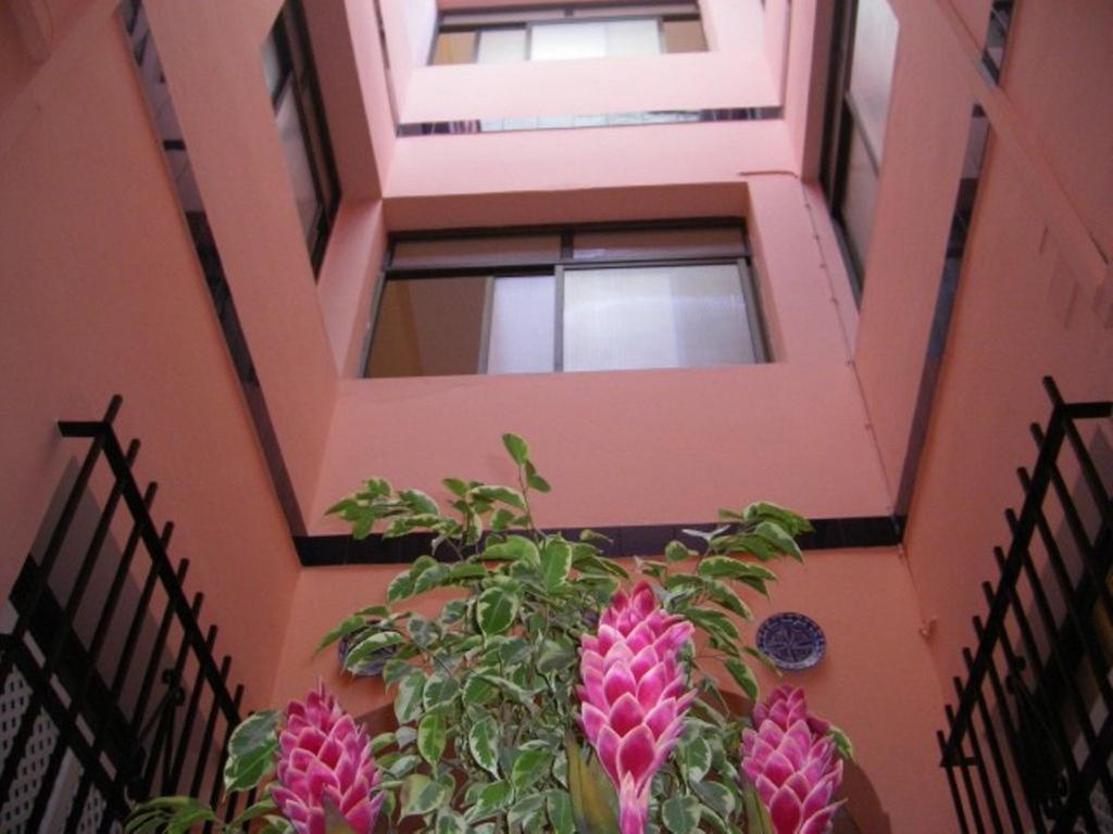 Guest house Sanvi Xerez Centro
