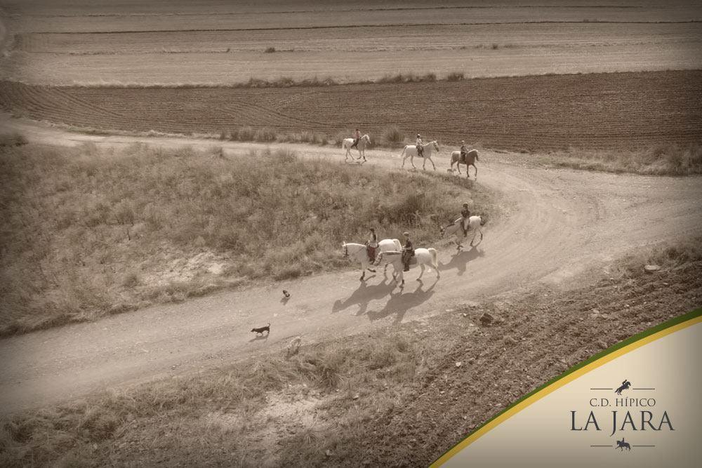 Rural La Jara Casa rural Hinojosa del Duque
