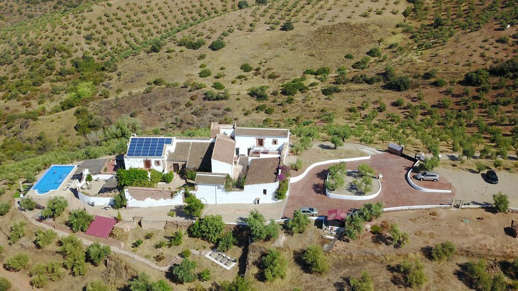 Olivetum Colina * Montoro