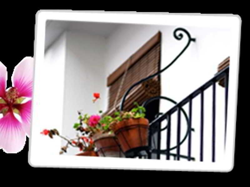 Paco Guest house Marbella