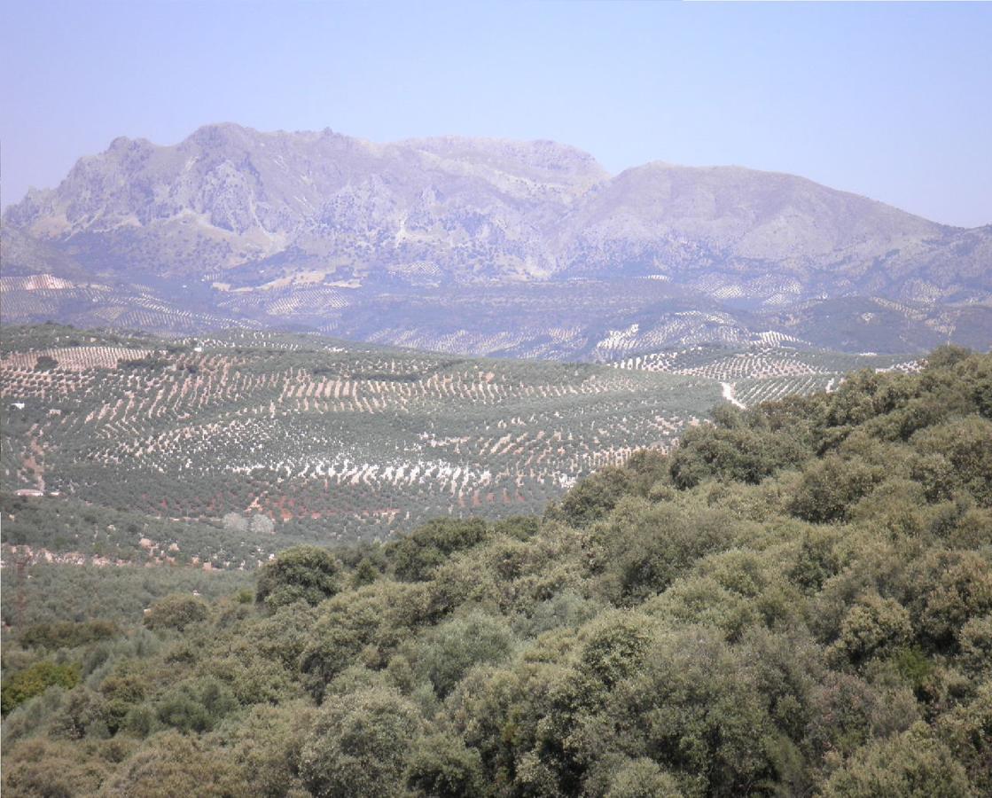 Hotel Sierra De Araceli 2*