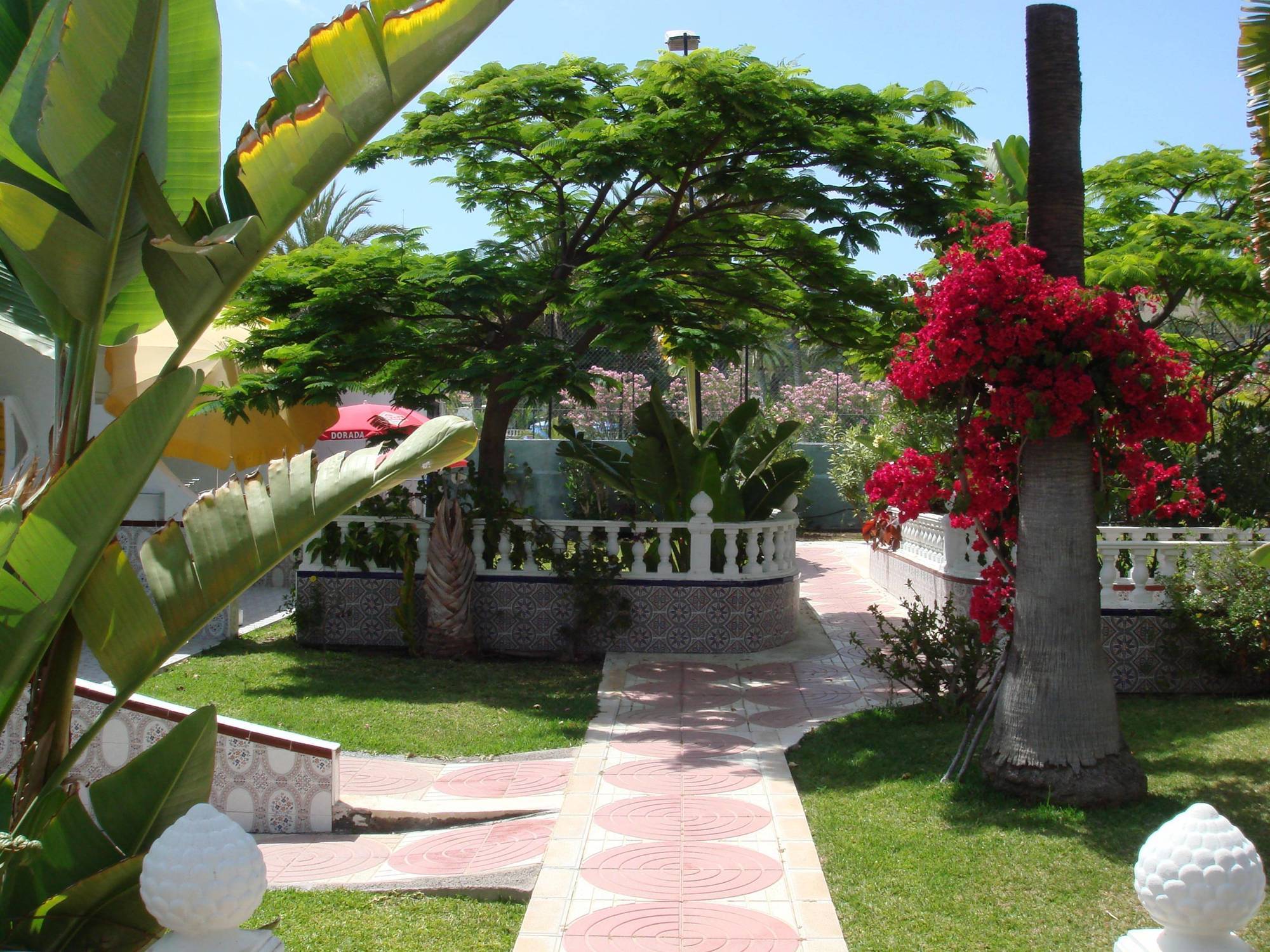 San Valentin & Terraflor Park Hotel Playa del Inglés