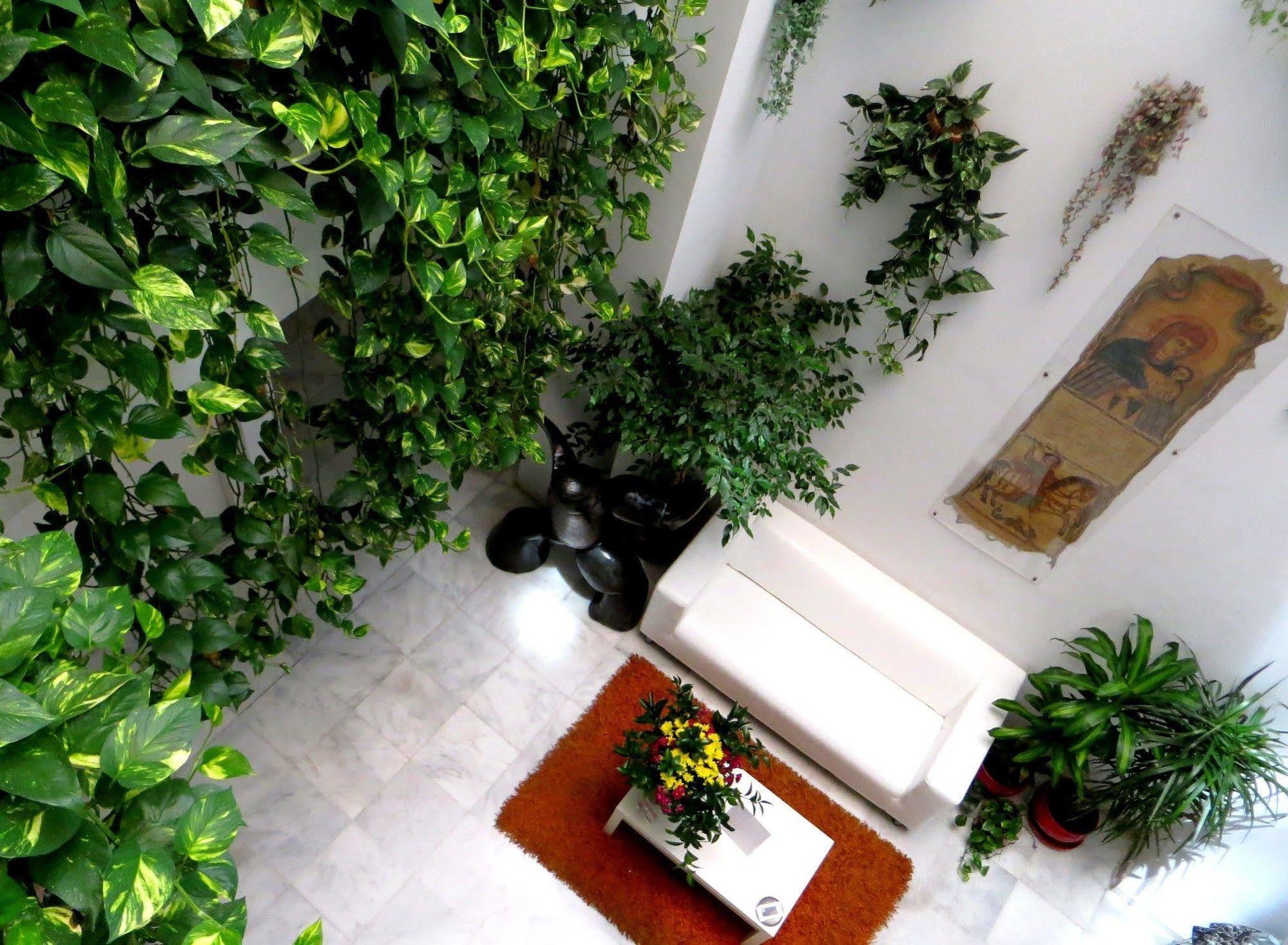 Un Patio Al Sur Hotel Sevilla