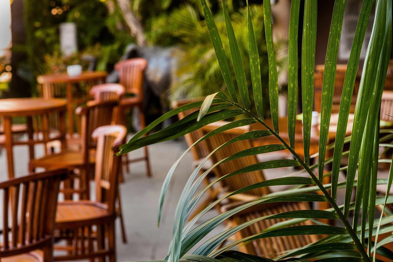 Chillout Tres Mares Hotel Tarifa