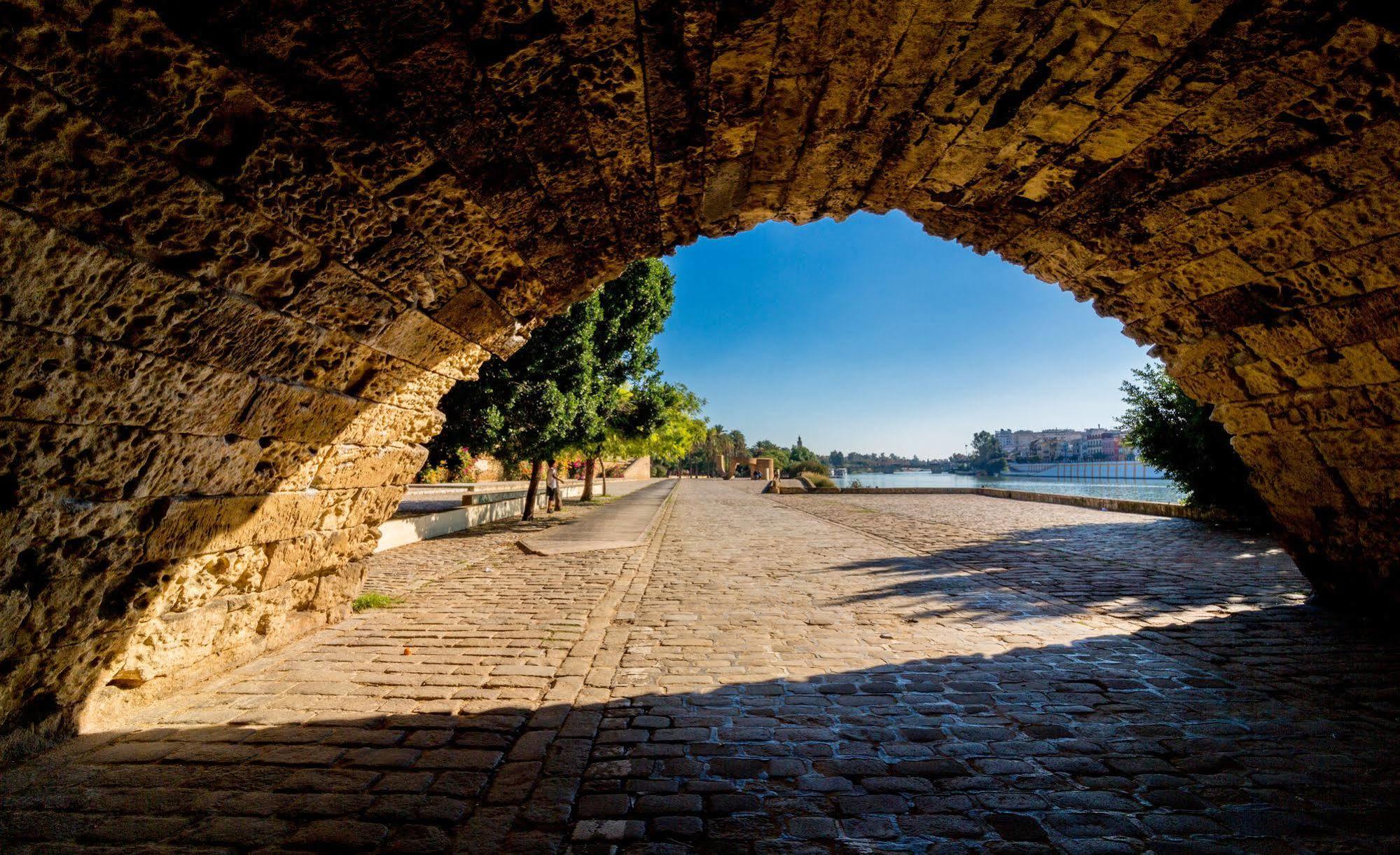 Jentoft Sevilla