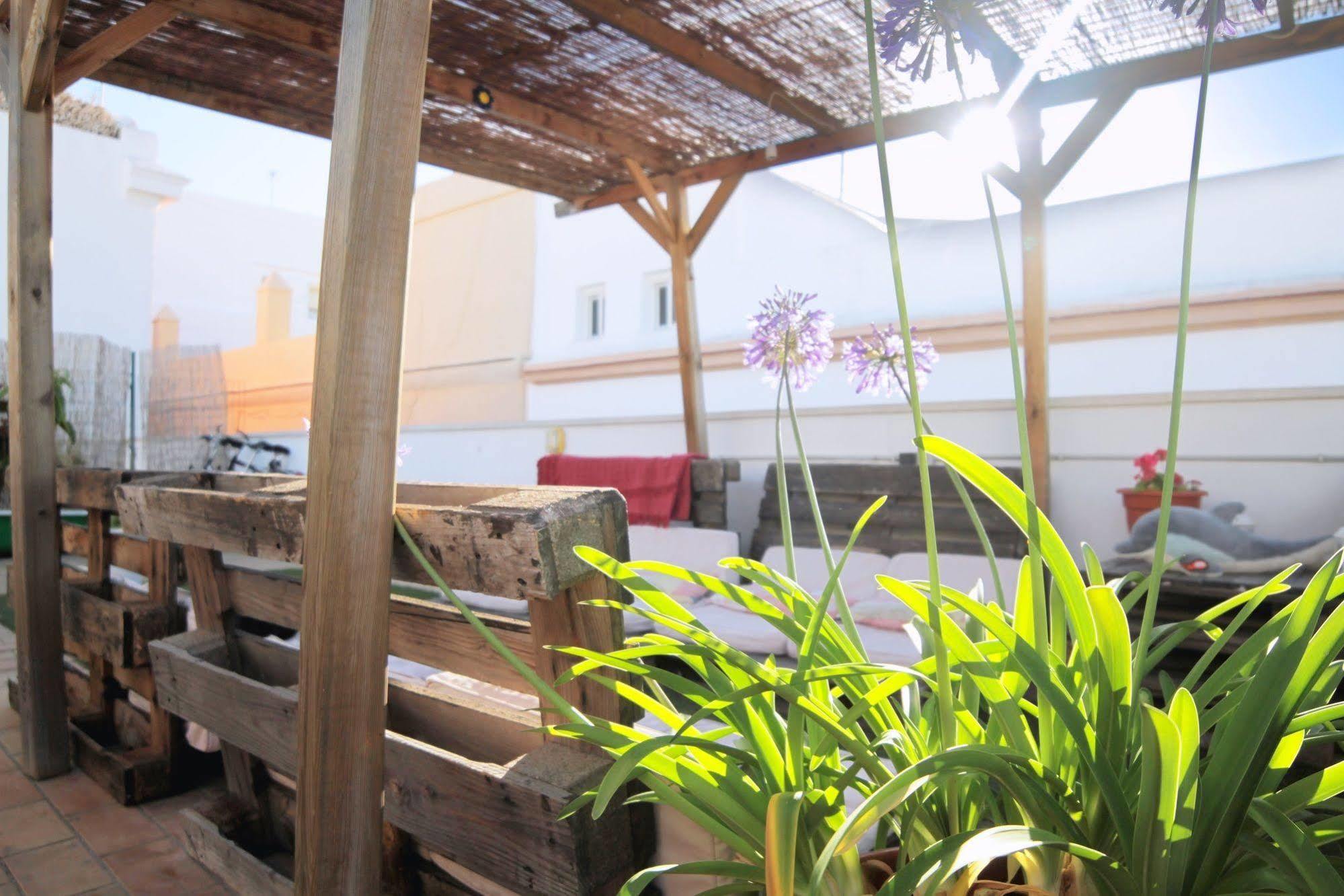 Hostel Backpackers