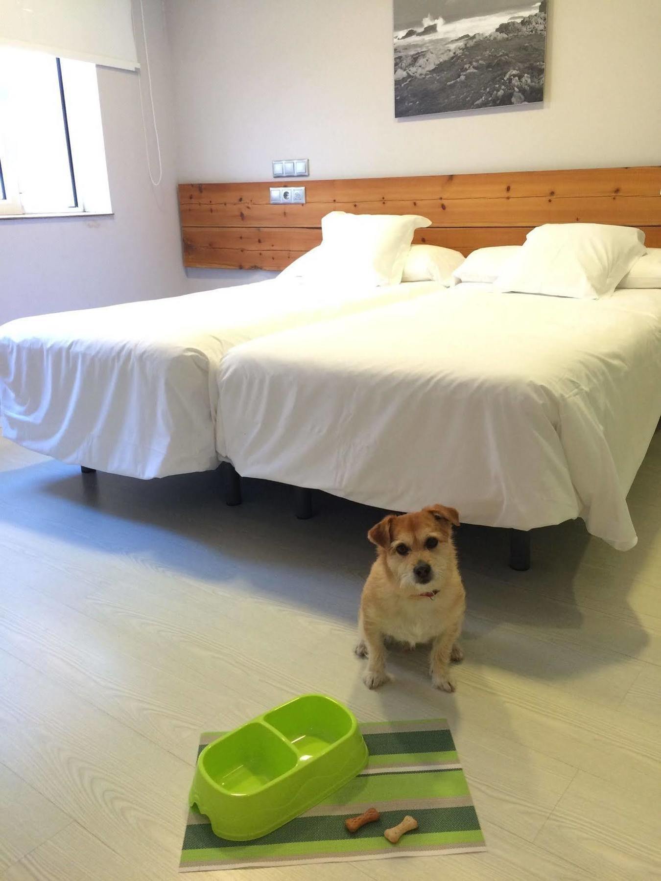 Hosteria Santander Bed & Breakfast Santander
