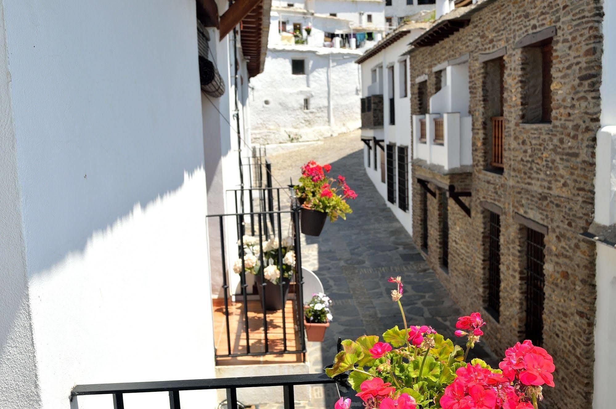 Rural Alfajia De Antonio