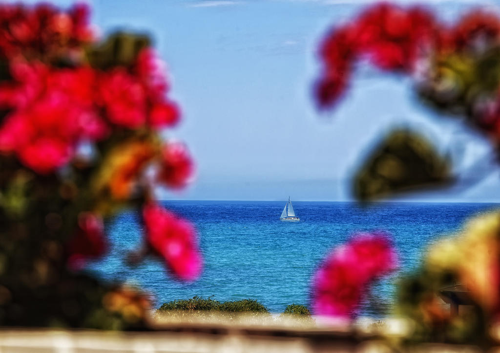 Provenzal Hostal *