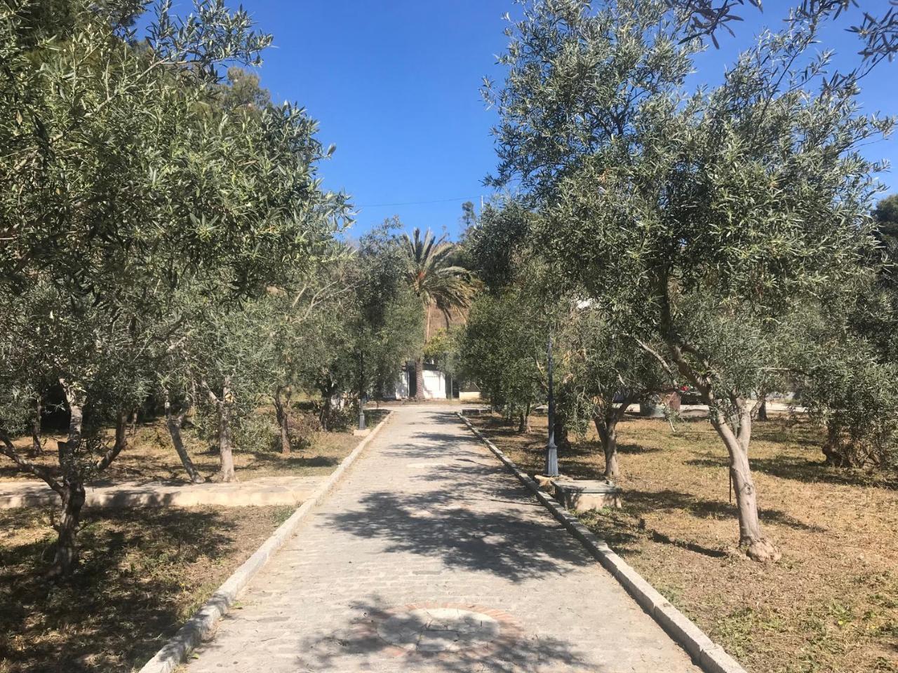 Lodge Con Encanto En Malaga