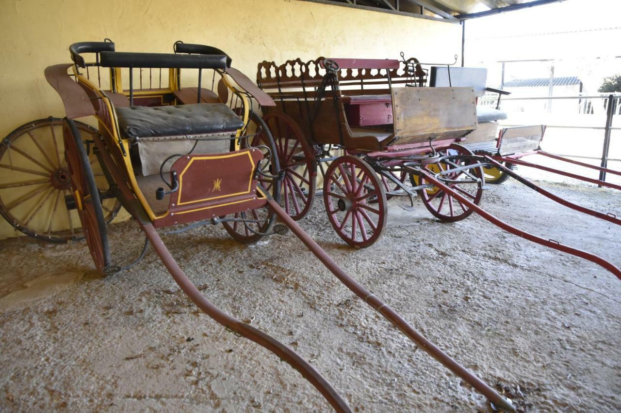 El Ranxo Bed & Breakfast Franciach