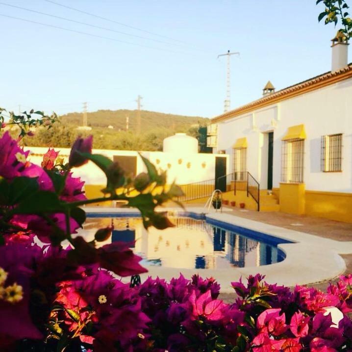 Andalou Hotel 3*