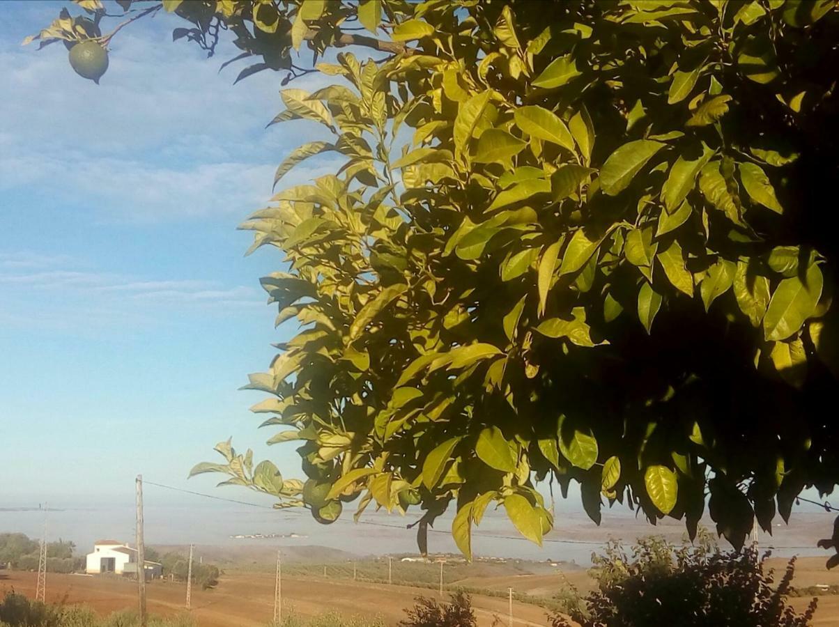 Andalou 3* Montellano