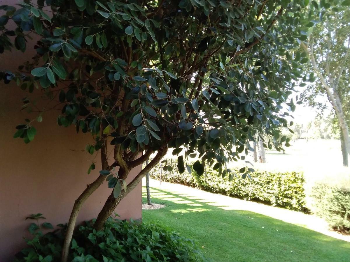 Canela Green Apartment *