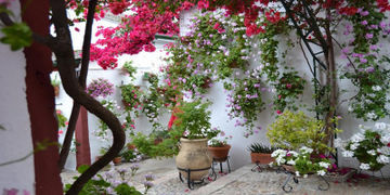 Hotel Carpe Diem Cordoba