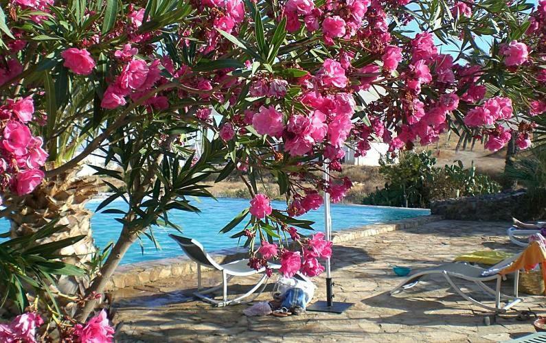 Cortijo Torreblanca Parque Cabo De Gata Country house