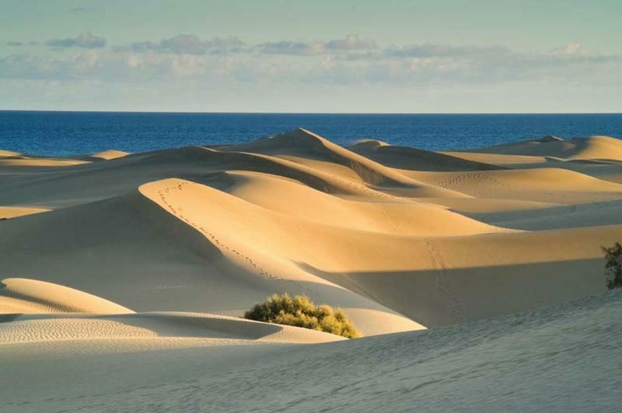 Teror Playa Apartamento