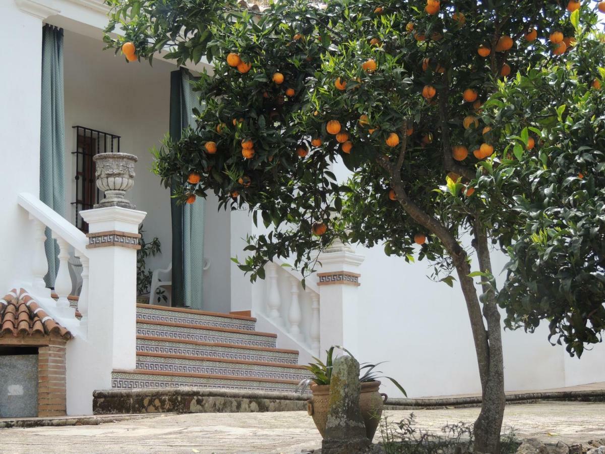 Casas Del Madroño