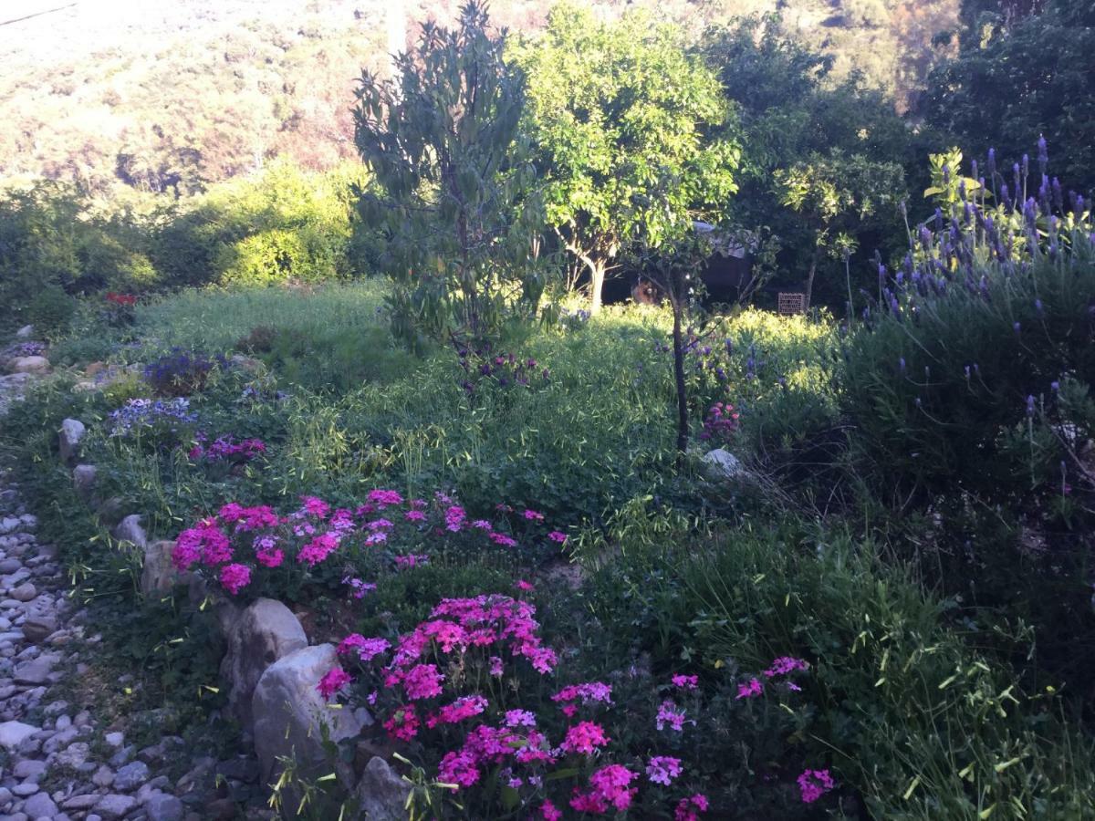 Holiday home Casa Morello