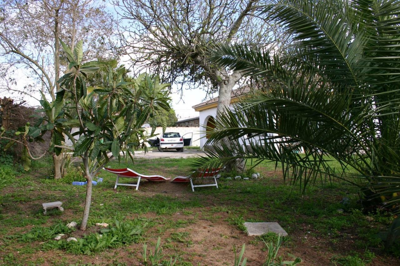 Fig Tree Сasa de vacaciones