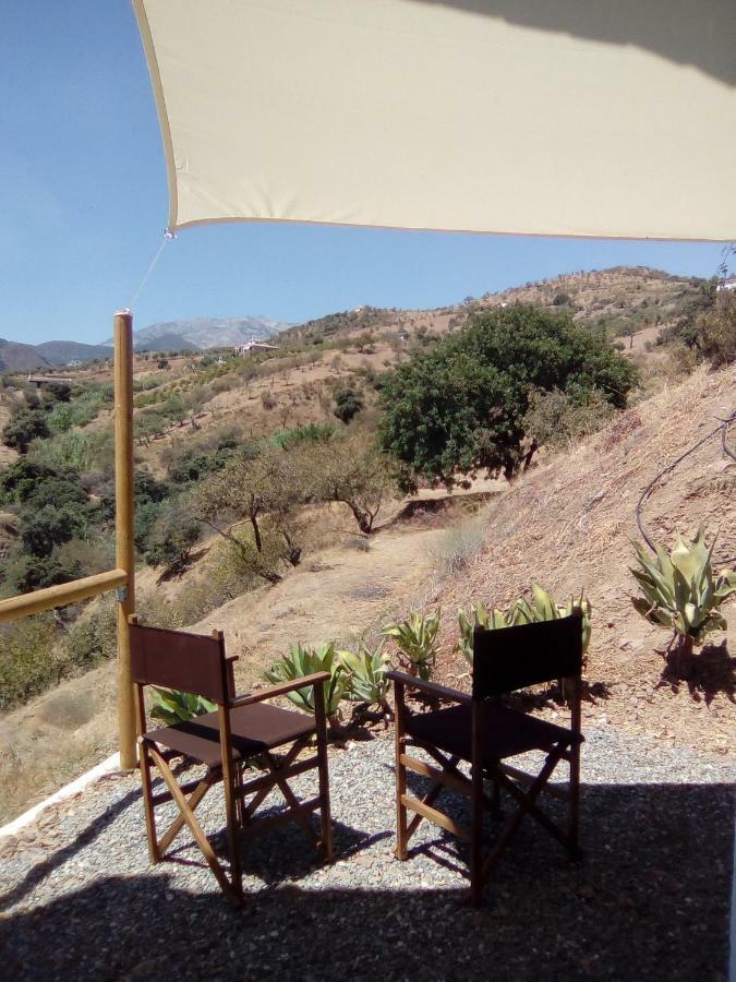 Bed and breakfast The African House 3*