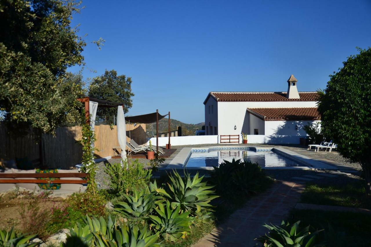 The African House 3*