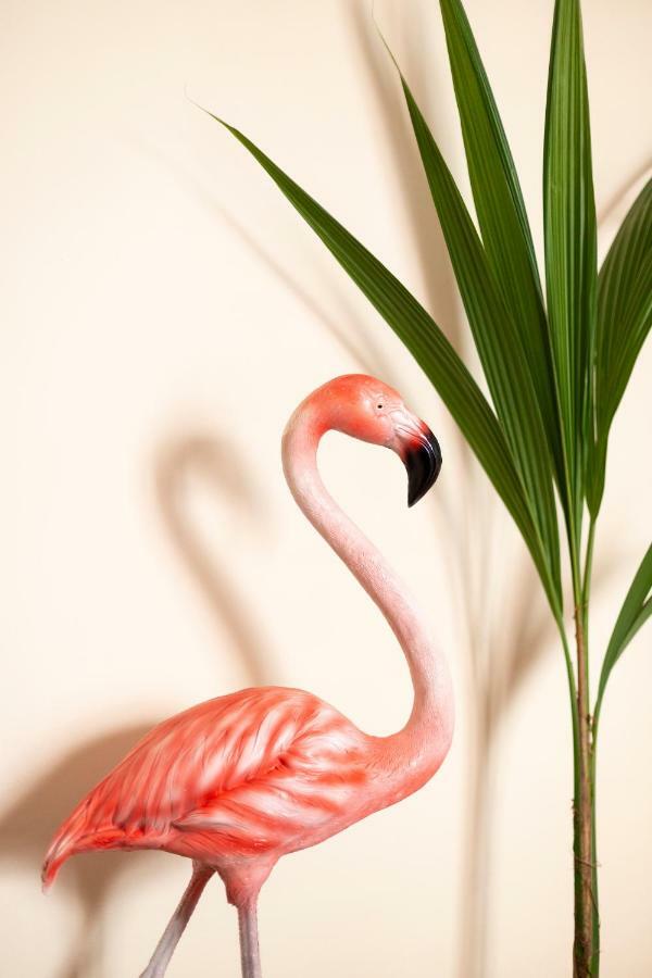 Flamingo Malaga
