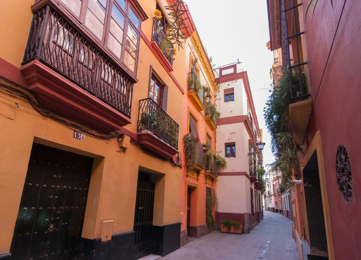Flamencos Con Garage 5 Pax * Seville