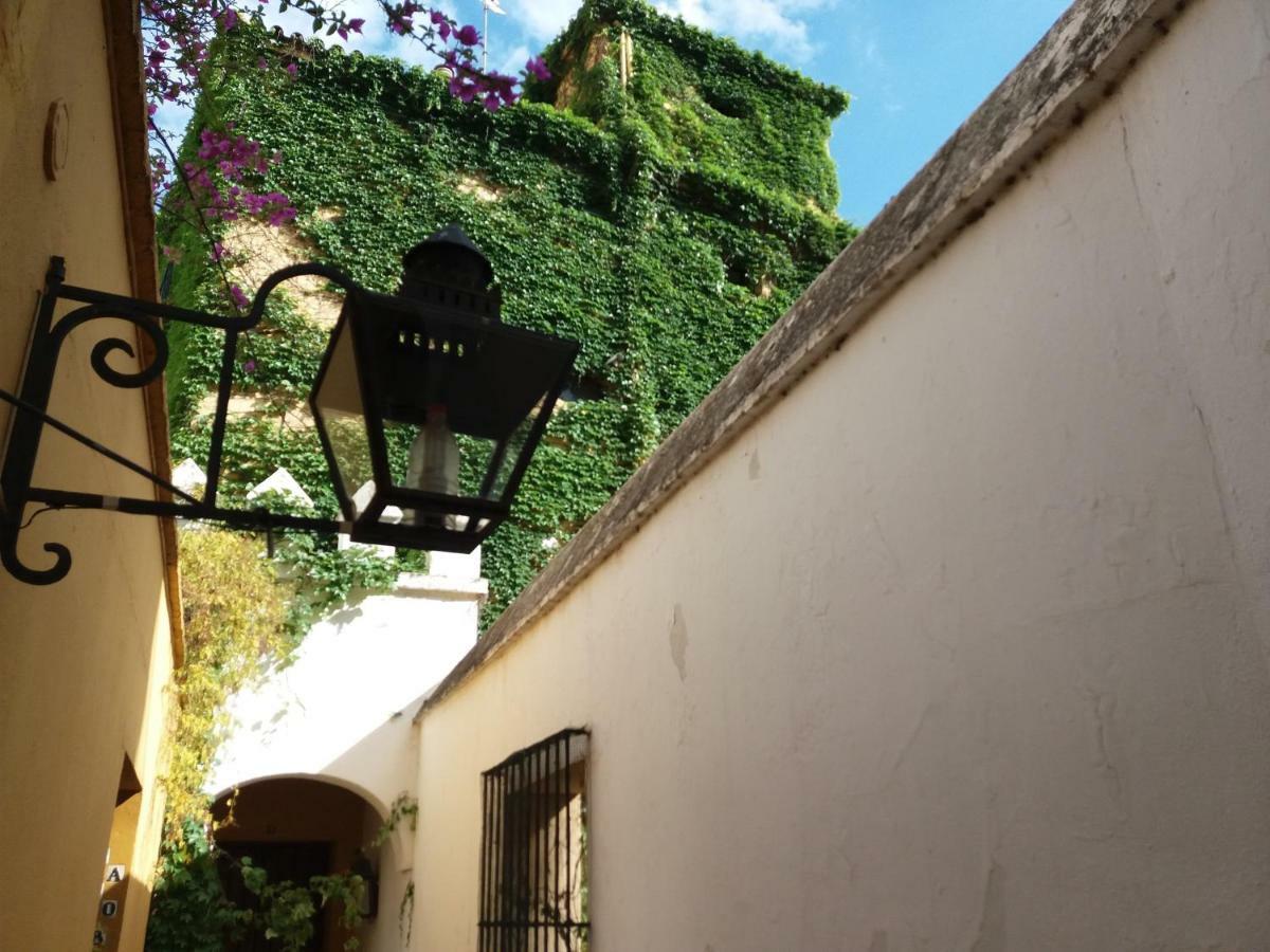 Flamencos Con Garage 5 Pax Apartment
