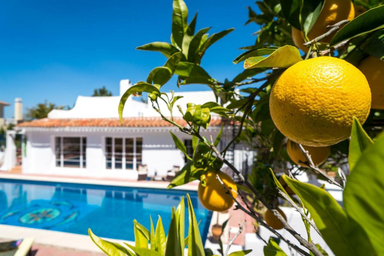 Finca Del Mundo Boutique B&B *