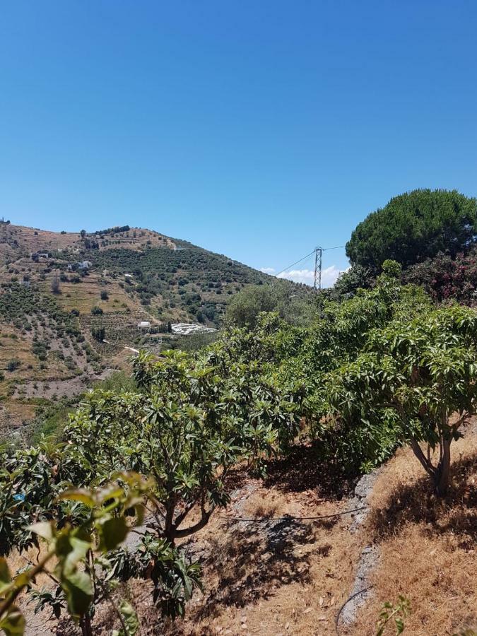 Casa Algill Сasa de vacaciones Torrox