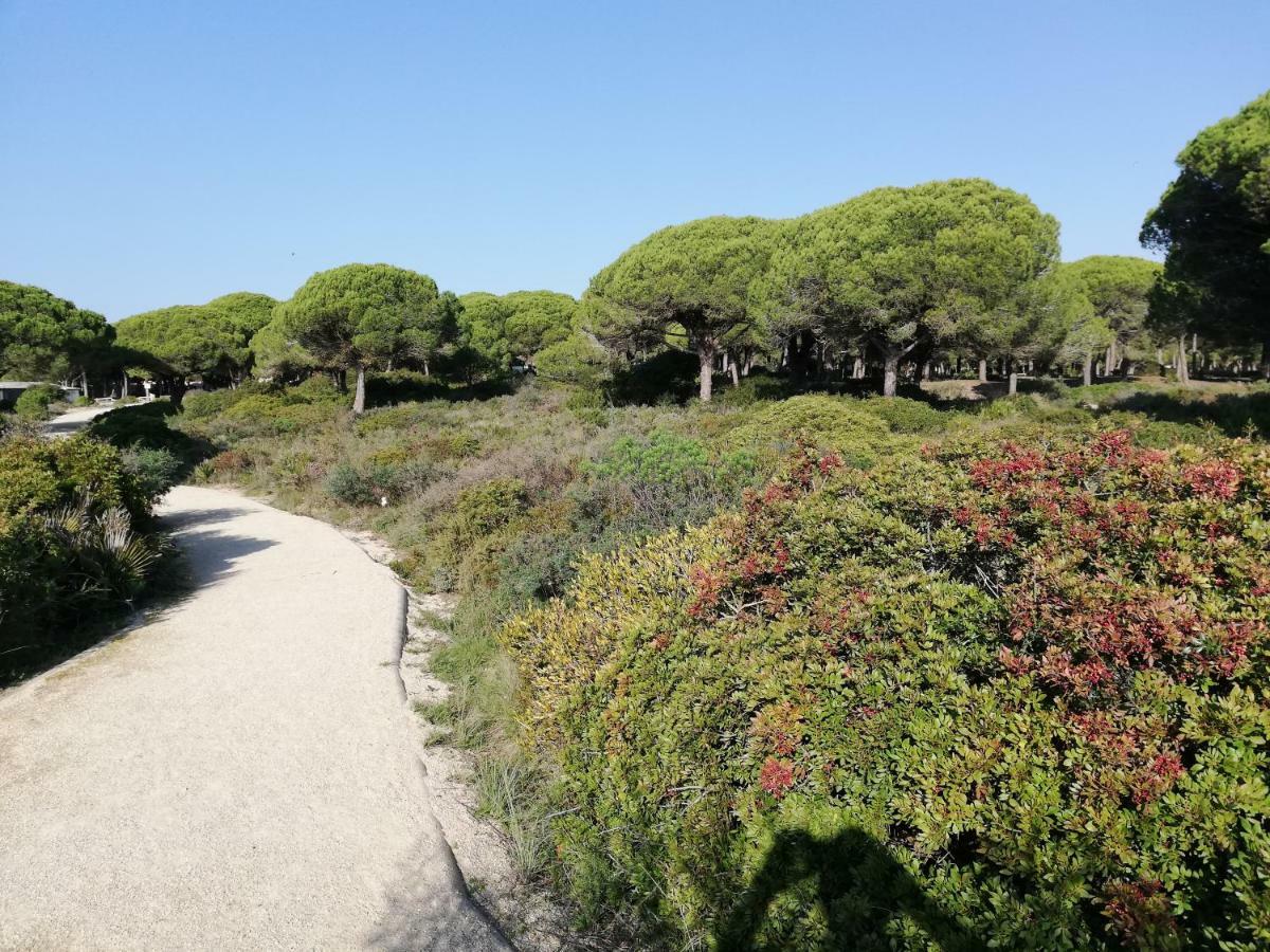 Sancti Petri Anocheceres Chiclana de la Frontera