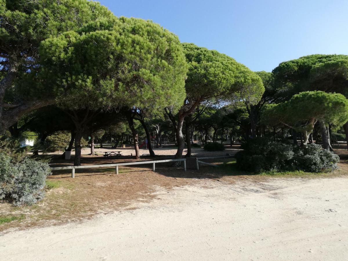 Apartamento Sancti Petri Anocheceres Chiclana de la Frontera