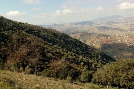 Casa Cuatro Vientos - Barranco Del Sol Almogía