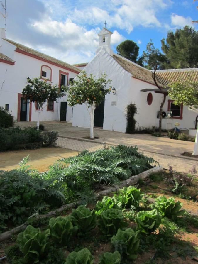 Cortijo El Triguero N-398 Ctra - El Viso Del Alcor Km 18 Villa Carmona (Seville)