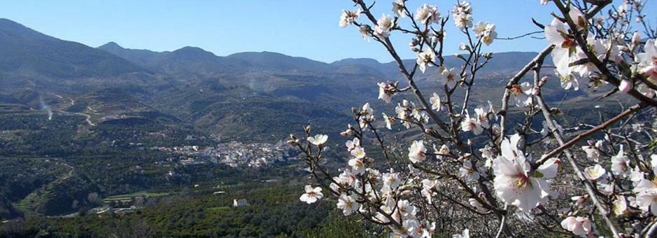 Сasa de vacaciones Casa Mosaico En Valle De Lecrín Nigüelas