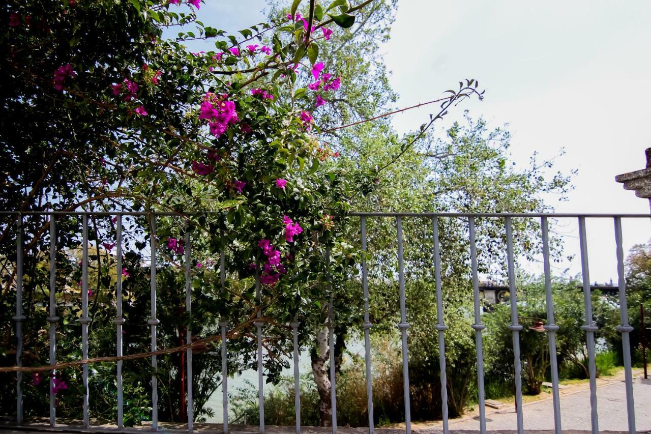 Misterhost Triana Patio De Flores Apartamento