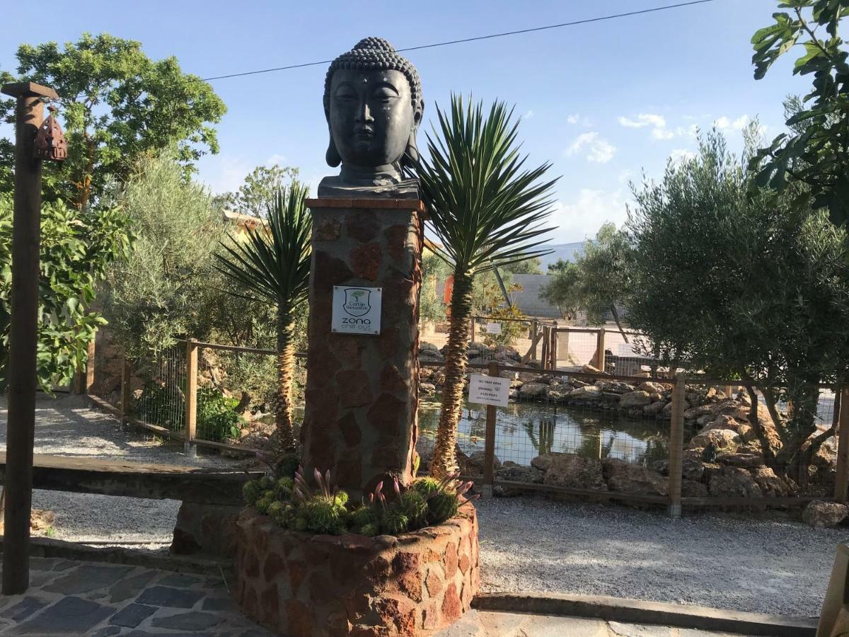 Country house Cortijo Bustamante *