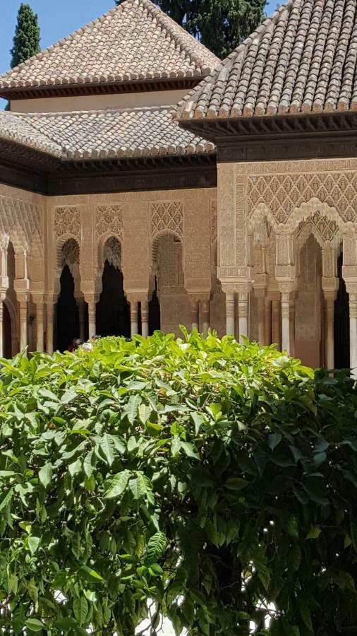 Apartamento Mirador Alhambra - 2 Private Terraces - Wifi - *
