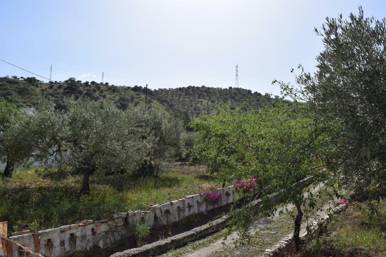 Casa Zona Camino Del Rey
