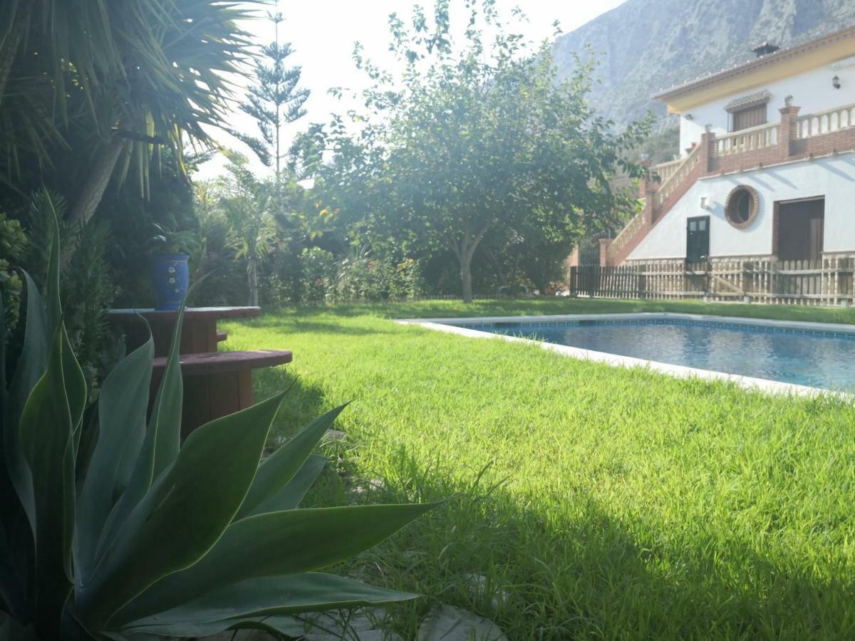 Hierbabuena Valle de Abdalajís