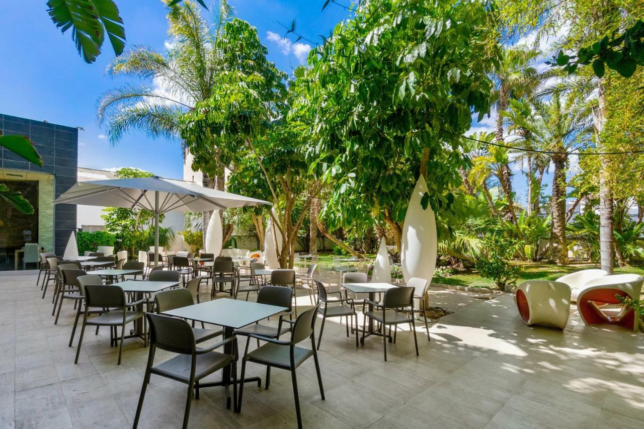Areca Hotel 4*