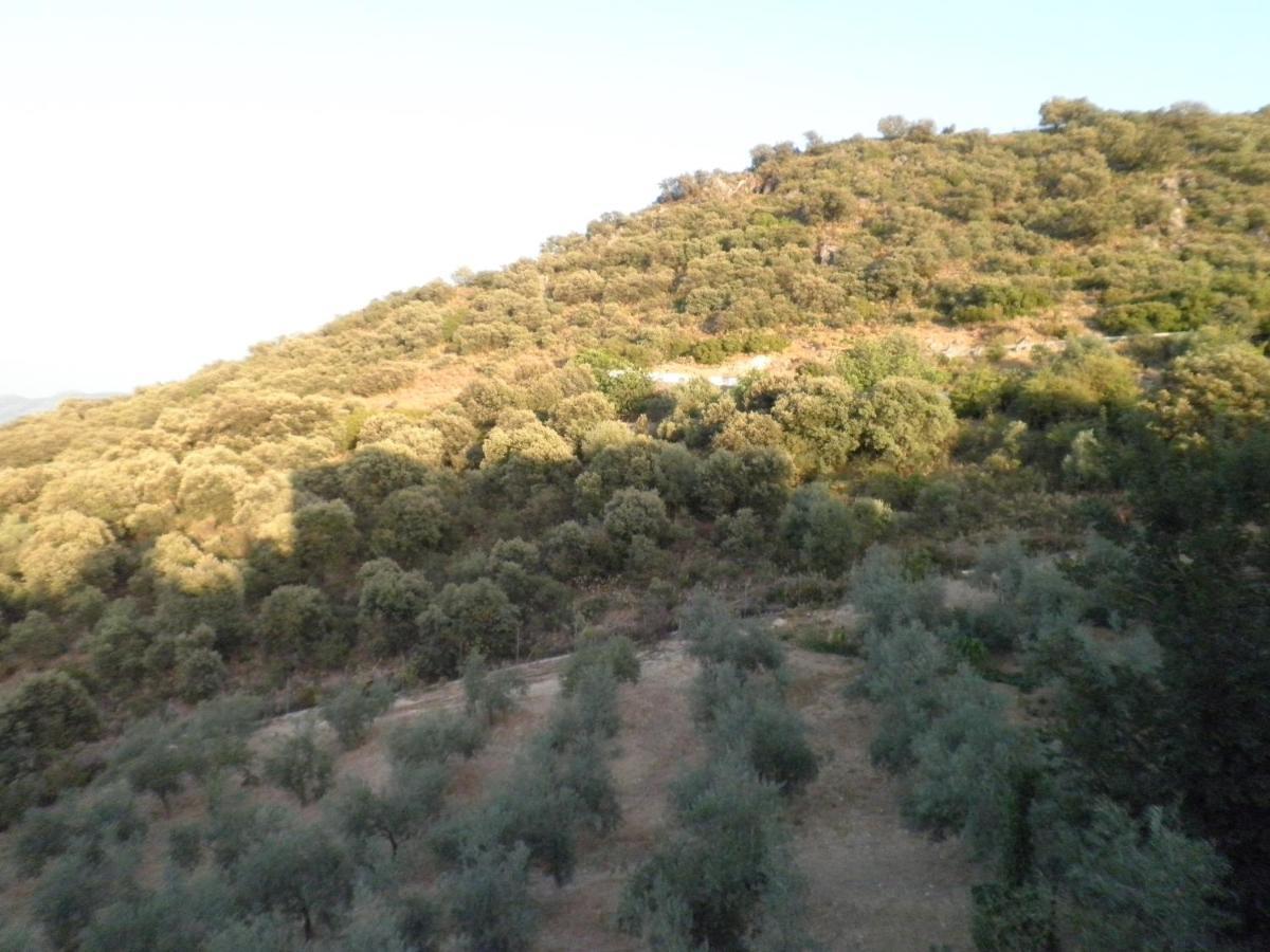 Sierra De Araceli Hotel Lucena