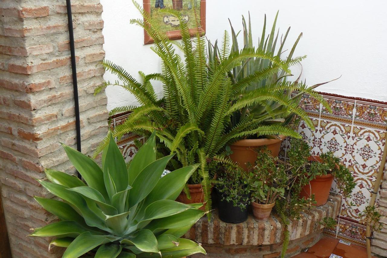 Restaurante Buitreras El Colmenar